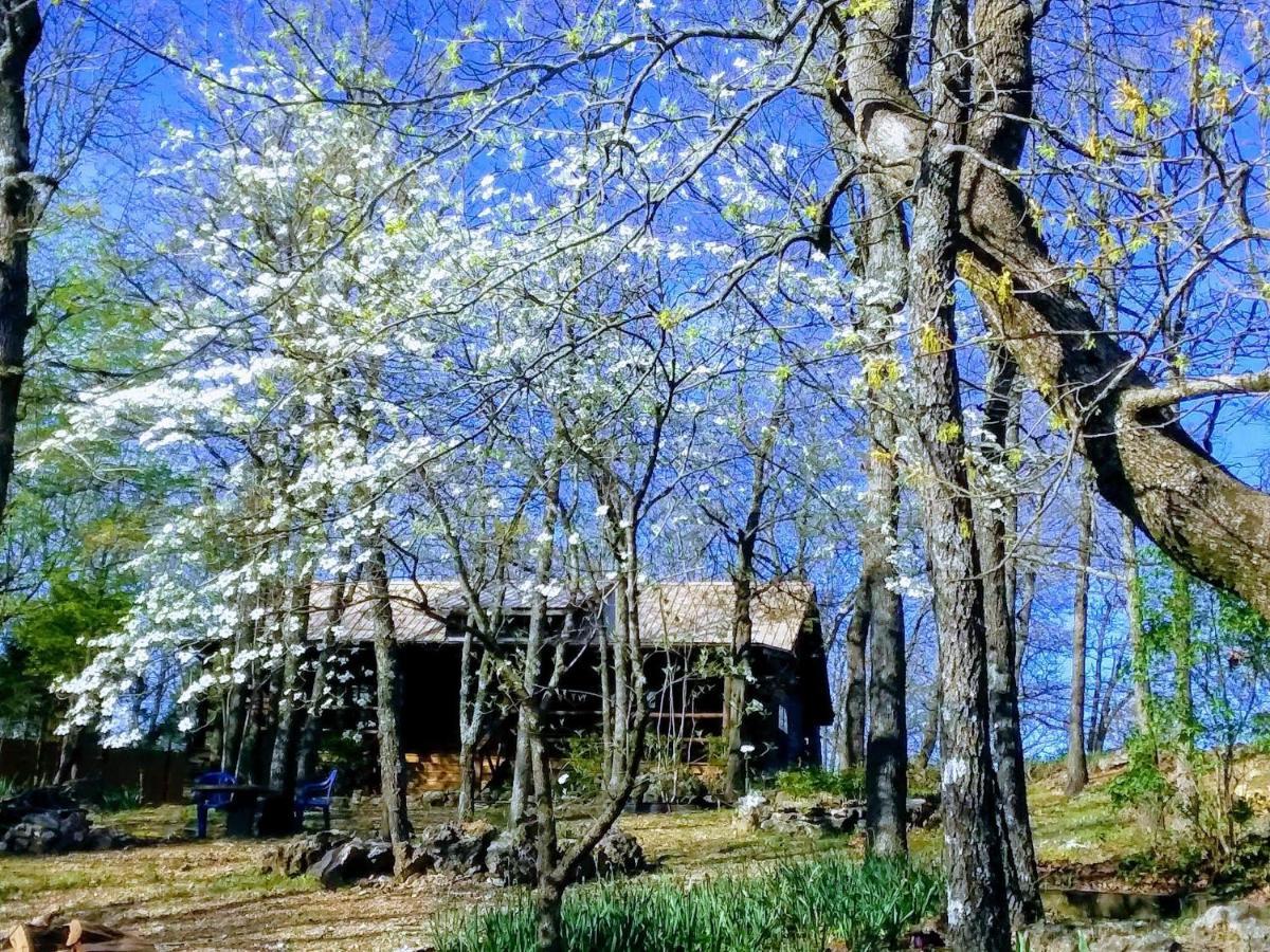 Cherokee Mountain Log Cabins Eureka Springs Exteriér fotografie
